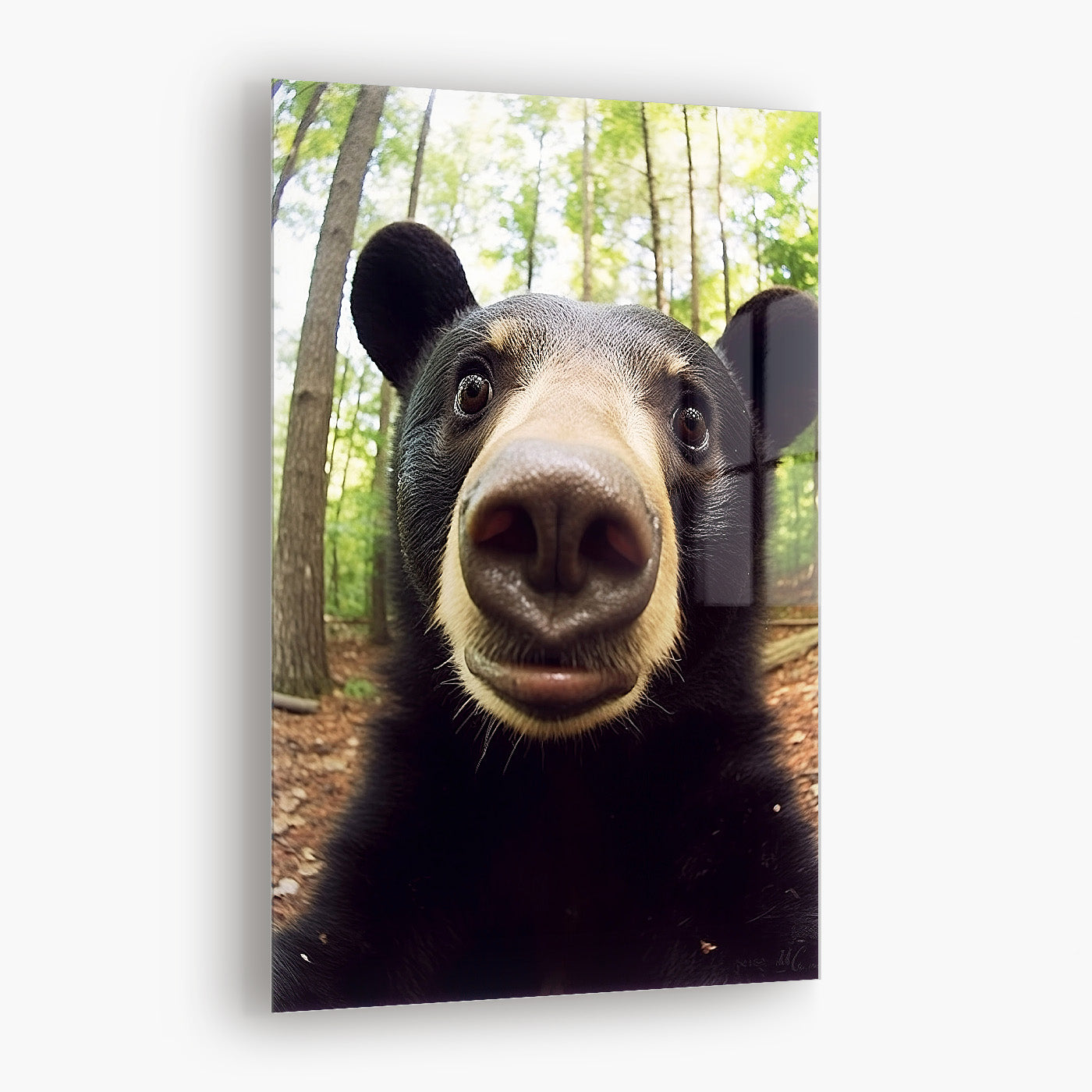 Selfie Bear